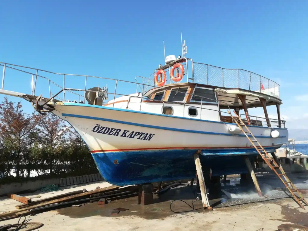 Karabağlar Çalıkuşu kültürü
